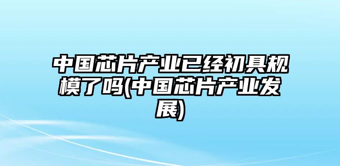 中國(guó)芯片產(chǎn)業(yè)已經(jīng)初具規(guī)模了嗎(中國(guó)芯片產(chǎn)業(yè)發(fā)展)