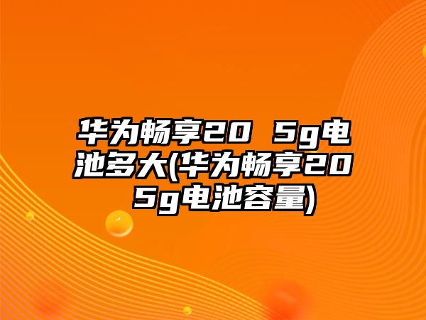 華為暢享20 5g電池多大(華為暢享20 5g電池容量)