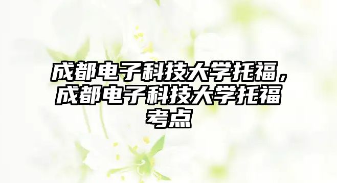 成都電子科技大學(xué)托福，成都電子科技大學(xué)托?？键c(diǎn)