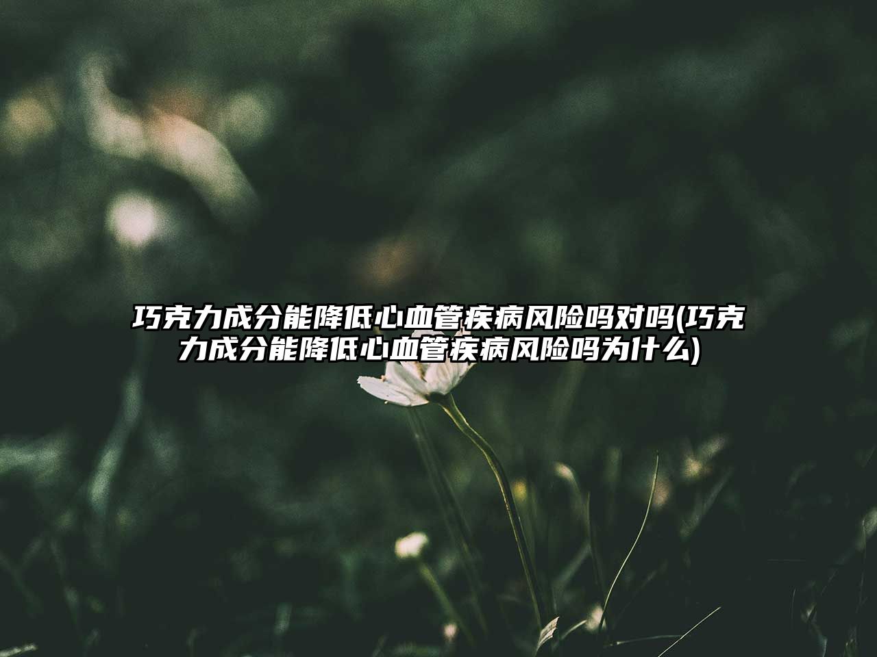 巧克力成分能降低心血管疾病風(fēng)險嗎對嗎(巧克力成分能降低心血管疾病風(fēng)險嗎為什么)