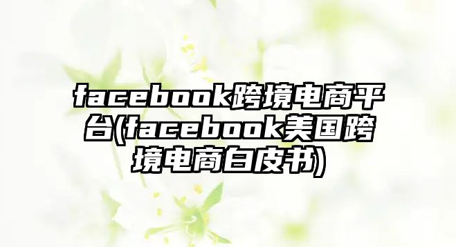 facebook跨境電商平臺(tái)(facebook美國(guó)跨境電商白皮書)