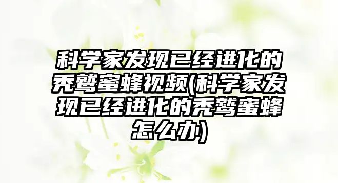 科學(xué)家發(fā)現(xiàn)已經(jīng)進化的禿鷲蜜蜂視頻(科學(xué)家發(fā)現(xiàn)已經(jīng)進化的禿鷲蜜蜂怎么辦)