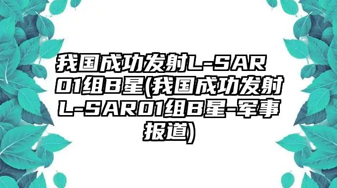 我國成功發(fā)射L-SAR 01組B星(我國成功發(fā)射L-SAR01組B星-軍事報(bào)道)