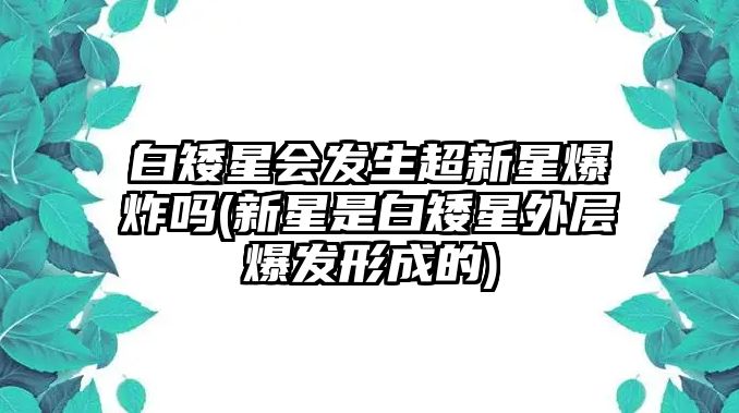 白矮星會(huì)發(fā)生超新星爆炸嗎(新星是白矮星外層爆發(fā)形成的)