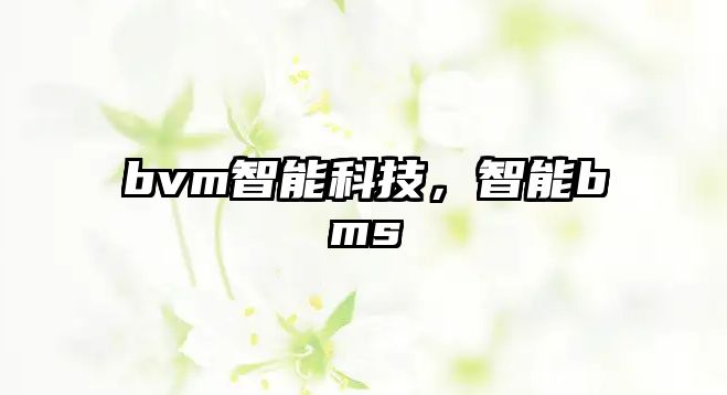 bvm智能科技，智能bms