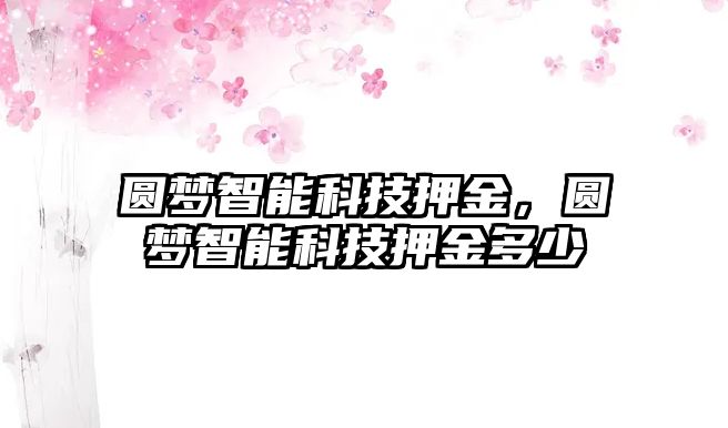 圓夢智能科技押金，圓夢智能科技押金多少