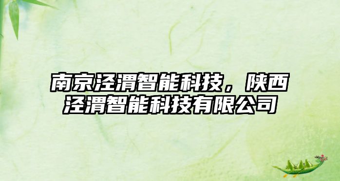 南京涇渭智能科技，陜西涇渭智能科技有限公司