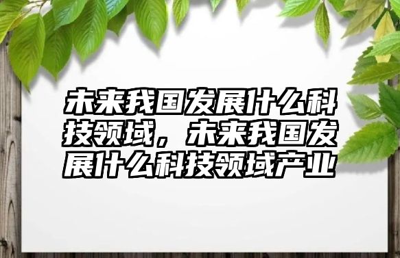 未來我國發(fā)展什么科技領域，未來我國發(fā)展什么科技領域產(chǎn)業(yè)