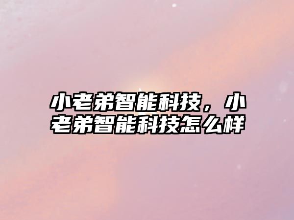 小老弟智能科技，小老弟智能科技怎么樣