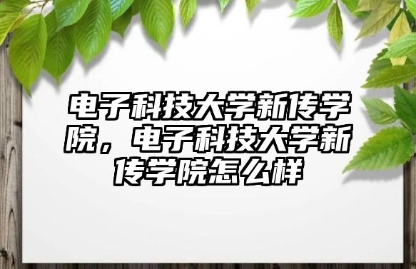 電子科技大學新傳學院，電子科技大學新傳學院怎么樣