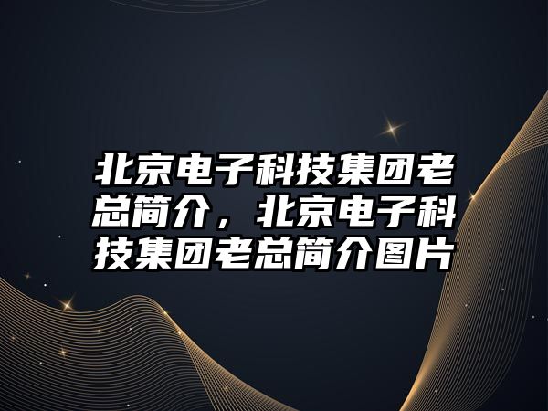 北京電子科技集團(tuán)老總簡(jiǎn)介，北京電子科技集團(tuán)老總簡(jiǎn)介圖片