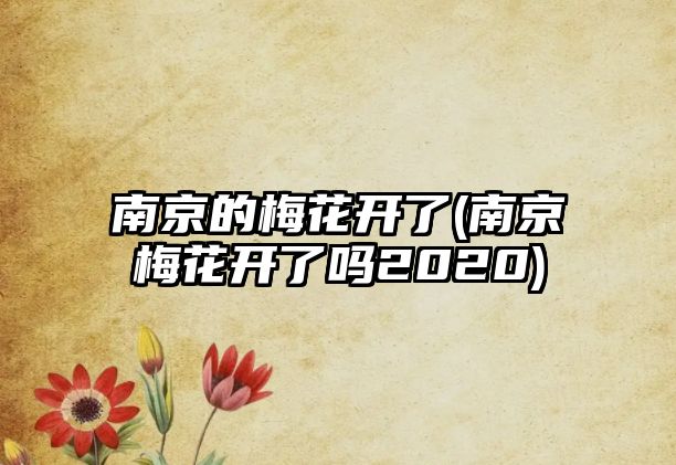 南京的梅花開(kāi)了(南京梅花開(kāi)了嗎2020)