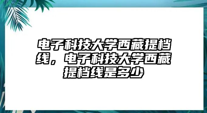 電子科技大學(xué)西藏提檔線，電子科技大學(xué)西藏提檔線是多少