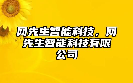 網(wǎng)先生智能科技，網(wǎng)先生智能科技有限公司