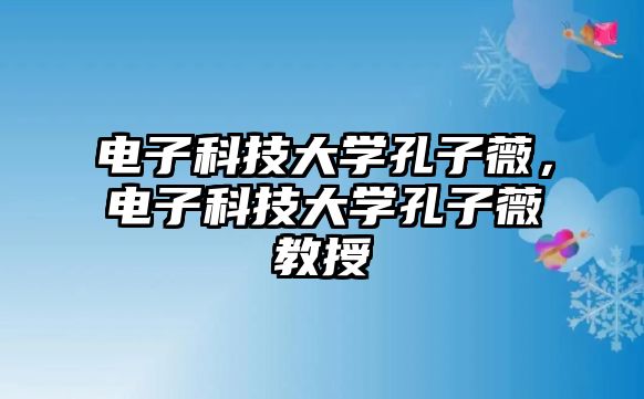 電子科技大學孔子薇，電子科技大學孔子薇教授