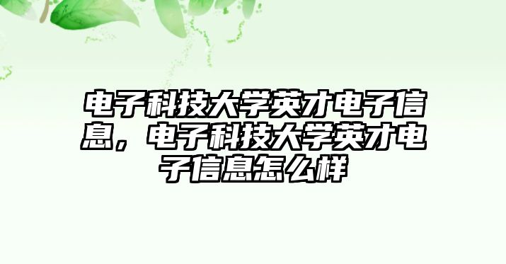 電子科技大學(xué)英才電子信息，電子科技大學(xué)英才電子信息怎么樣