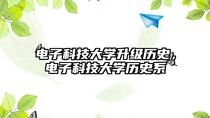 電子科技大學(xué)升級歷史，電子科技大學(xué)歷史系