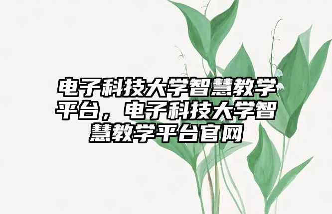 電子科技大學智慧教學平臺，電子科技大學智慧教學平臺官網(wǎng)