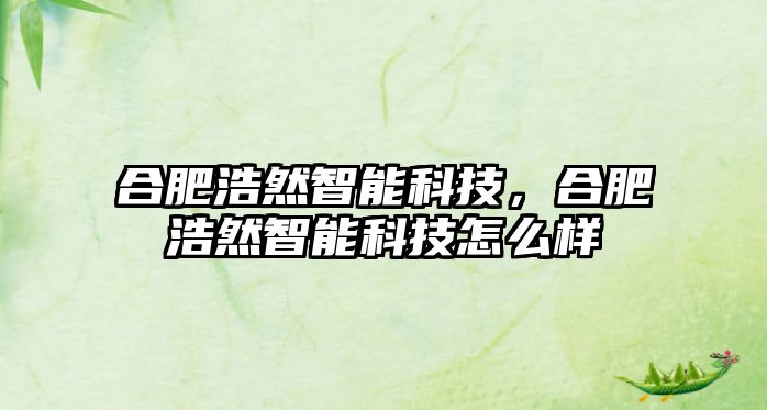 合肥浩然智能科技，合肥浩然智能科技怎么樣