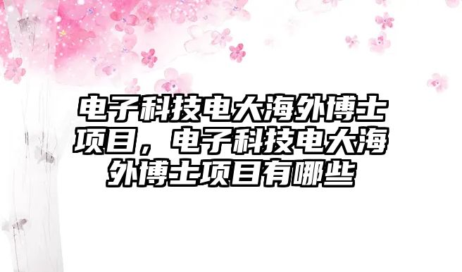 電子科技電大海外博士項目，電子科技電大海外博士項目有哪些