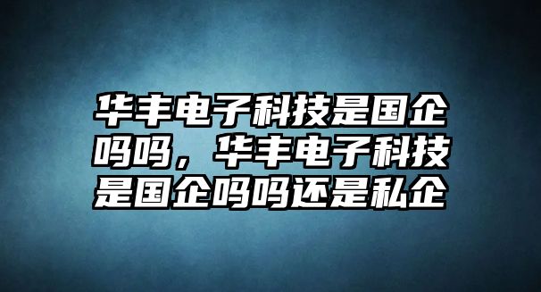 華豐電子科技是國企嗎嗎，華豐電子科技是國企嗎嗎還是私企