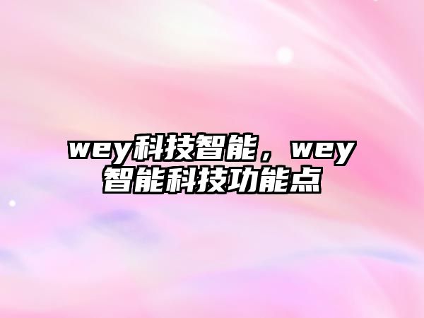 wey科技智能，wey智能科技功能點