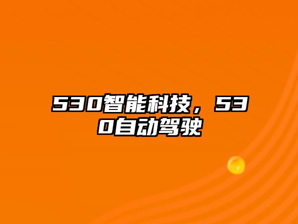 530智能科技，530自動駕駛