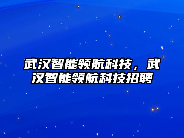 武漢智能領航科技，武漢智能領航科技招聘