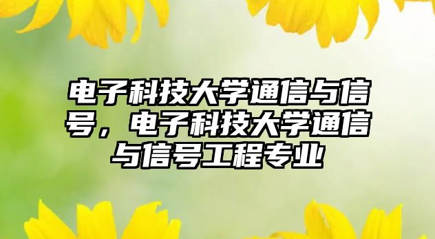 電子科技大學通信與信號，電子科技大學通信與信號工程專業(yè)