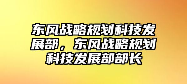 東風(fēng)戰(zhàn)略規(guī)劃科技發(fā)展部，東風(fēng)戰(zhàn)略規(guī)劃科技發(fā)展部部長