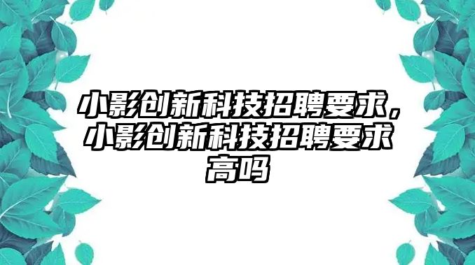 小影創(chuàng)新科技招聘要求，小影創(chuàng)新科技招聘要求高嗎