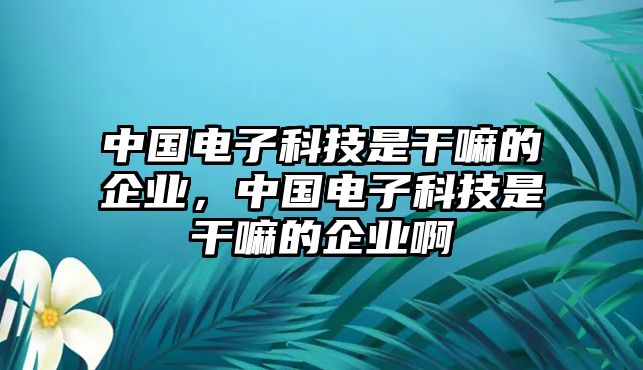 中國電子科技是干嘛的企業(yè)，中國電子科技是干嘛的企業(yè)啊