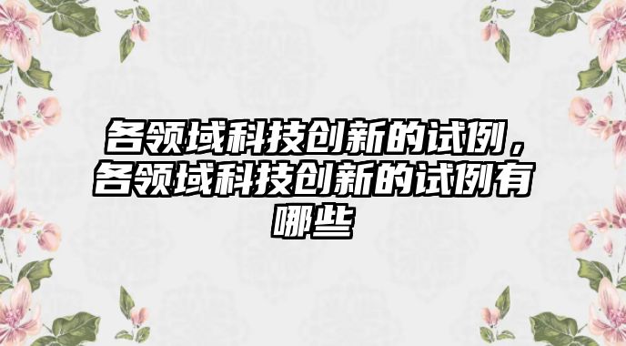 各領(lǐng)域科技創(chuàng)新的試?yán)黝I(lǐng)域科技創(chuàng)新的試?yán)心男? class=