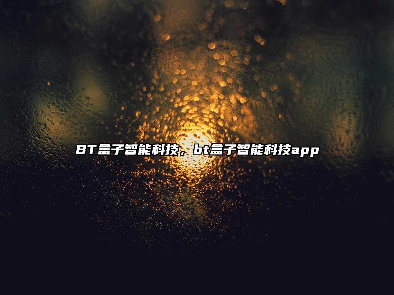 BT盒子智能科技，bt盒子智能科技app