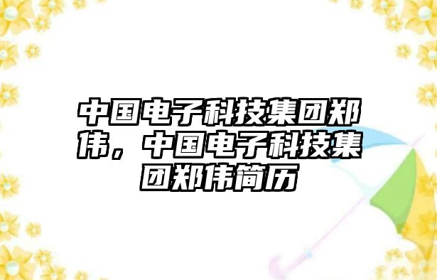 中國電子科技集團鄭偉，中國電子科技集團鄭偉簡歷