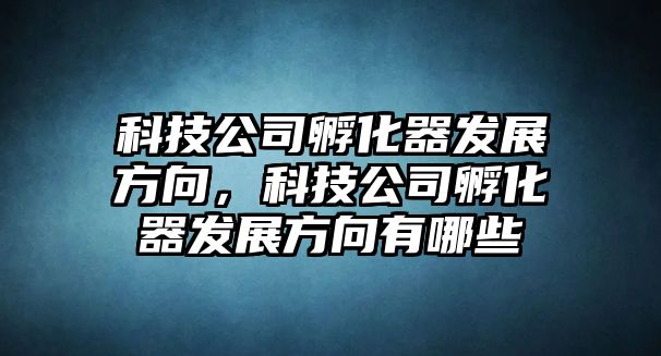 科技公司孵化器發(fā)展方向，科技公司孵化器發(fā)展方向有哪些