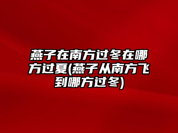 燕子在南方過(guò)冬在哪方過(guò)夏(燕子從南方飛到哪方過(guò)冬)