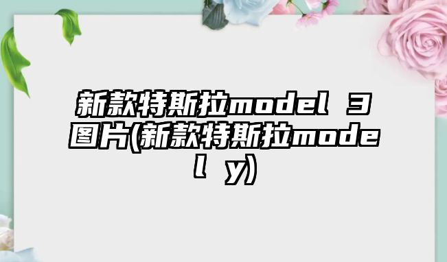 新款特斯拉model 3圖片(新款特斯拉model y)