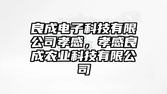 良成電子科技有限公司孝感，孝感良成農(nóng)業(yè)科技有限公司