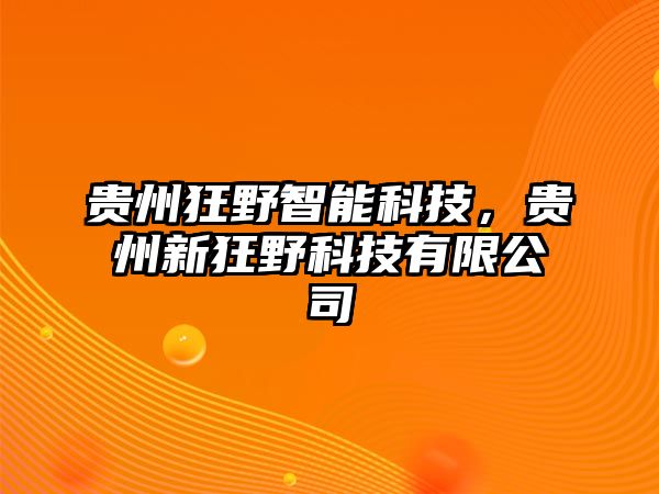 貴州狂野智能科技，貴州新狂野科技有限公司